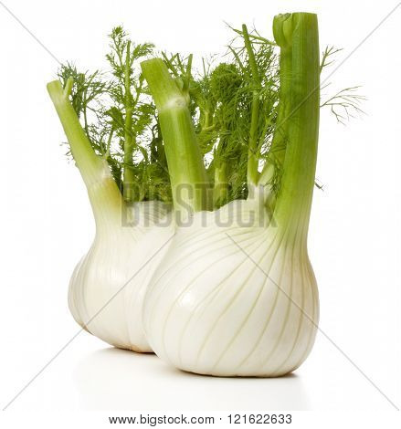 Fresh fennel bulb isolated on white background close up