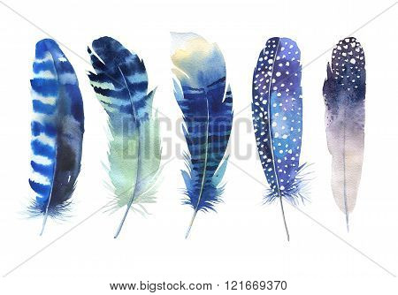 Hand Drawn Watercolor Feather Set. Boho Style. Illustration Isol