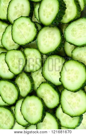 Fresh Cucumbers as background. Cucumber texture macro