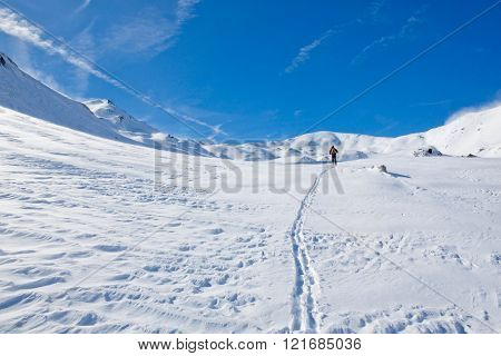 Ski Print Of A Skier In A Valley