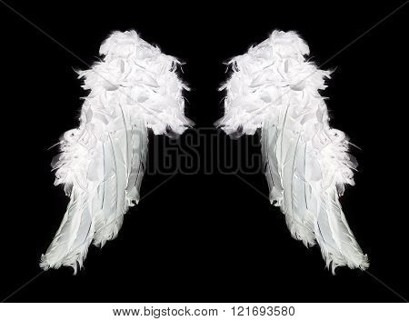 White angel wings isolated on black background.