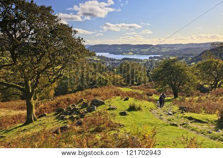 Walking Above Windermere