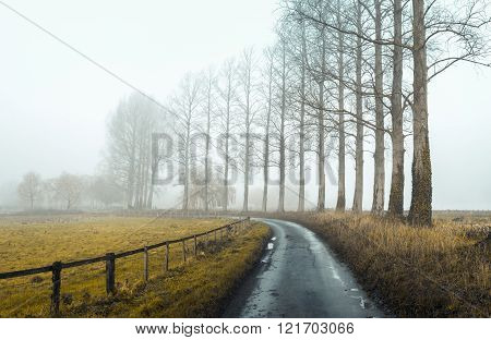 Misty Road 2