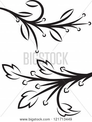 Pair Of Decorative Floral Braches. Vector Illustration.