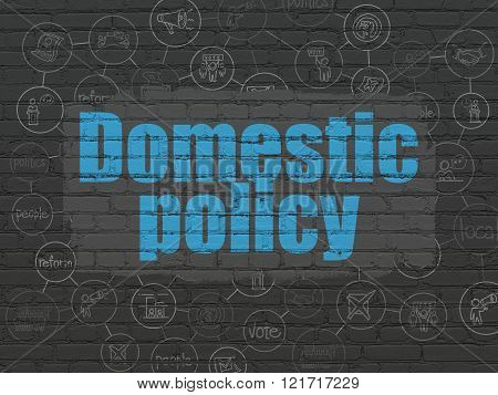 Political concept: Domestic Policy on wall background