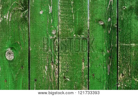 Old Green Wood Grunge Texture. Vertical