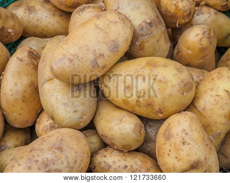 Fresh organic potatoes sold on morning market