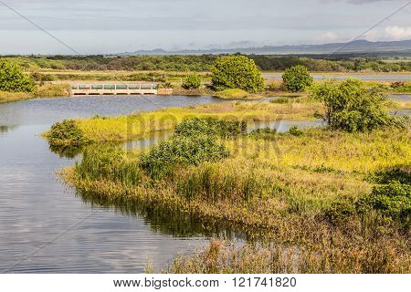 The Kealia Coastal Boardwalk is a beautiful tranquil walkway and bird sanctuary beside Maalaea Bay in the Kealia Pond National Wildlife Refuge on the south edge of Maui's central valley