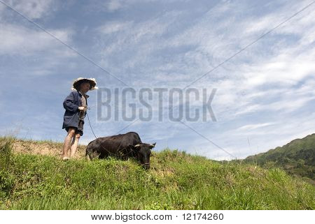 Longji, China 23. Mai: ein Bauer arbeitet das Reisfeld mit seiner Bull in Longji am Mai 23, 2010. die s