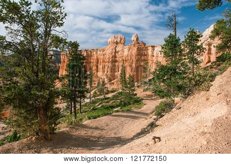 Hiking Trail At Bryce Canyon National Park, Utah, Usa