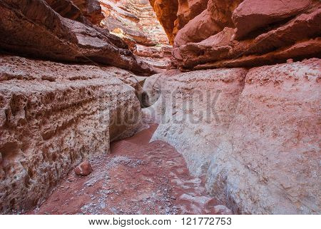 Lower part   Cathedral Wash,  leading to Colorado River, Arizona, USA