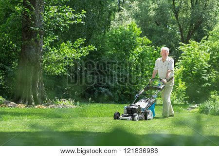 Elderly gardener is using lawnmower to mown grass