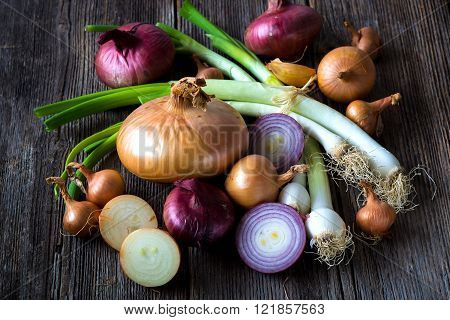 Colorful Onions On Rustic Wooden Background