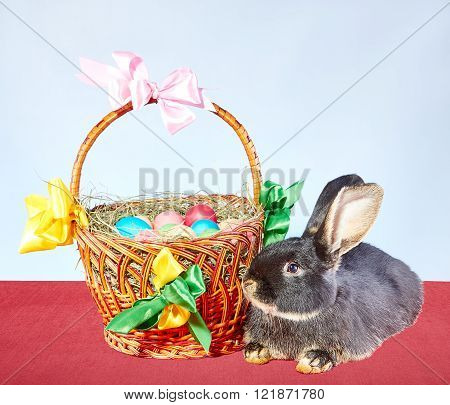 Little rabbit lies near a basket with Easter eggs decorated with colored ribbons