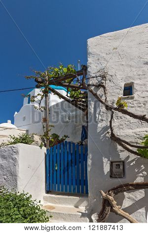 White chuch and vine in town of Parakia, Paros island, Cyclades, Greece