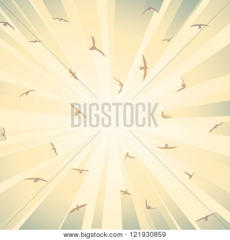 Square illustration birds in rays of bright sun.