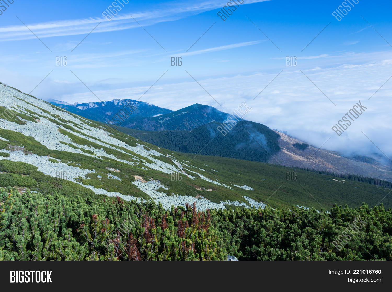Image Preview