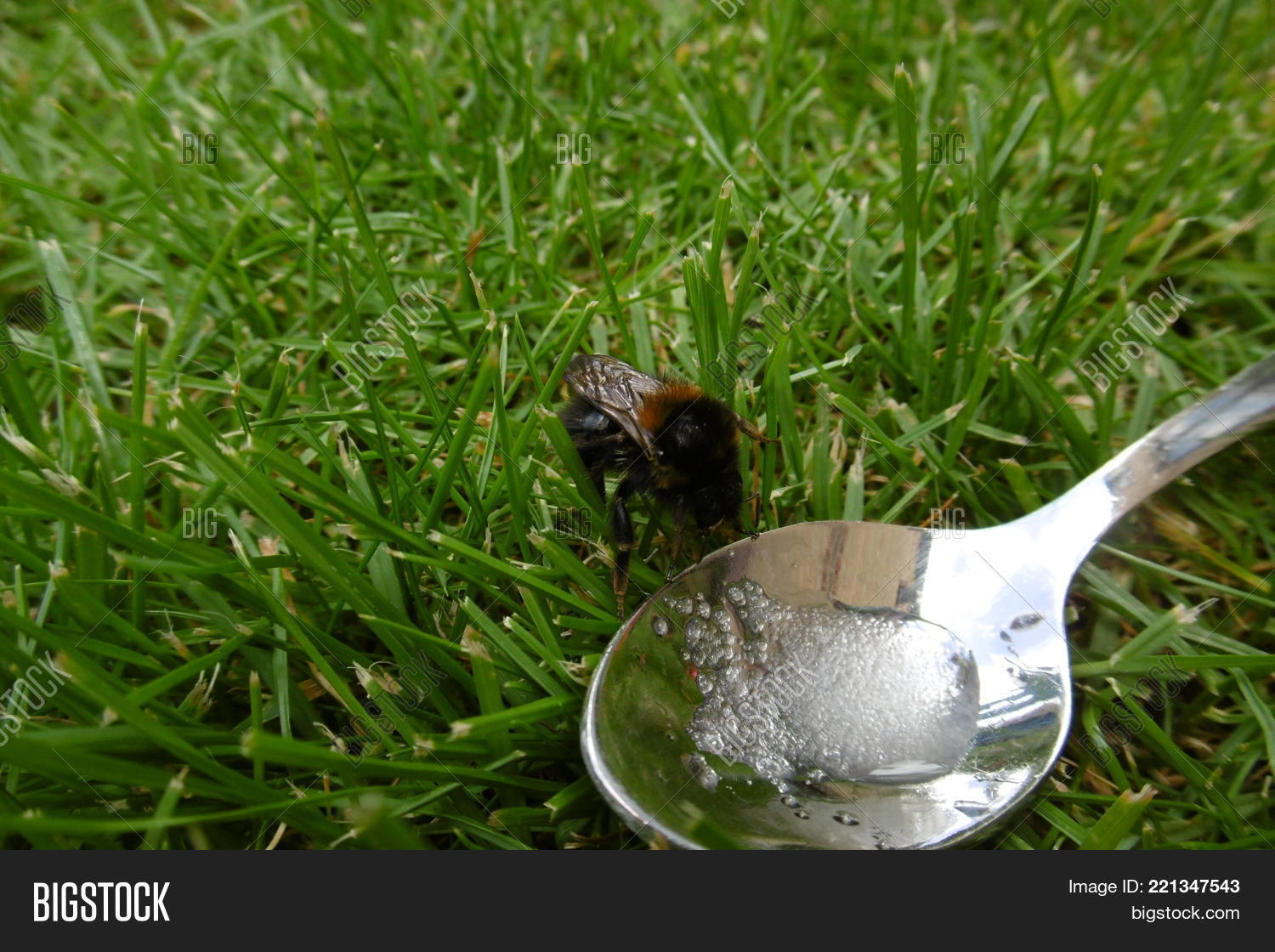 Photograph Exhausted Image & Photo (Free Trial) | Bigstock