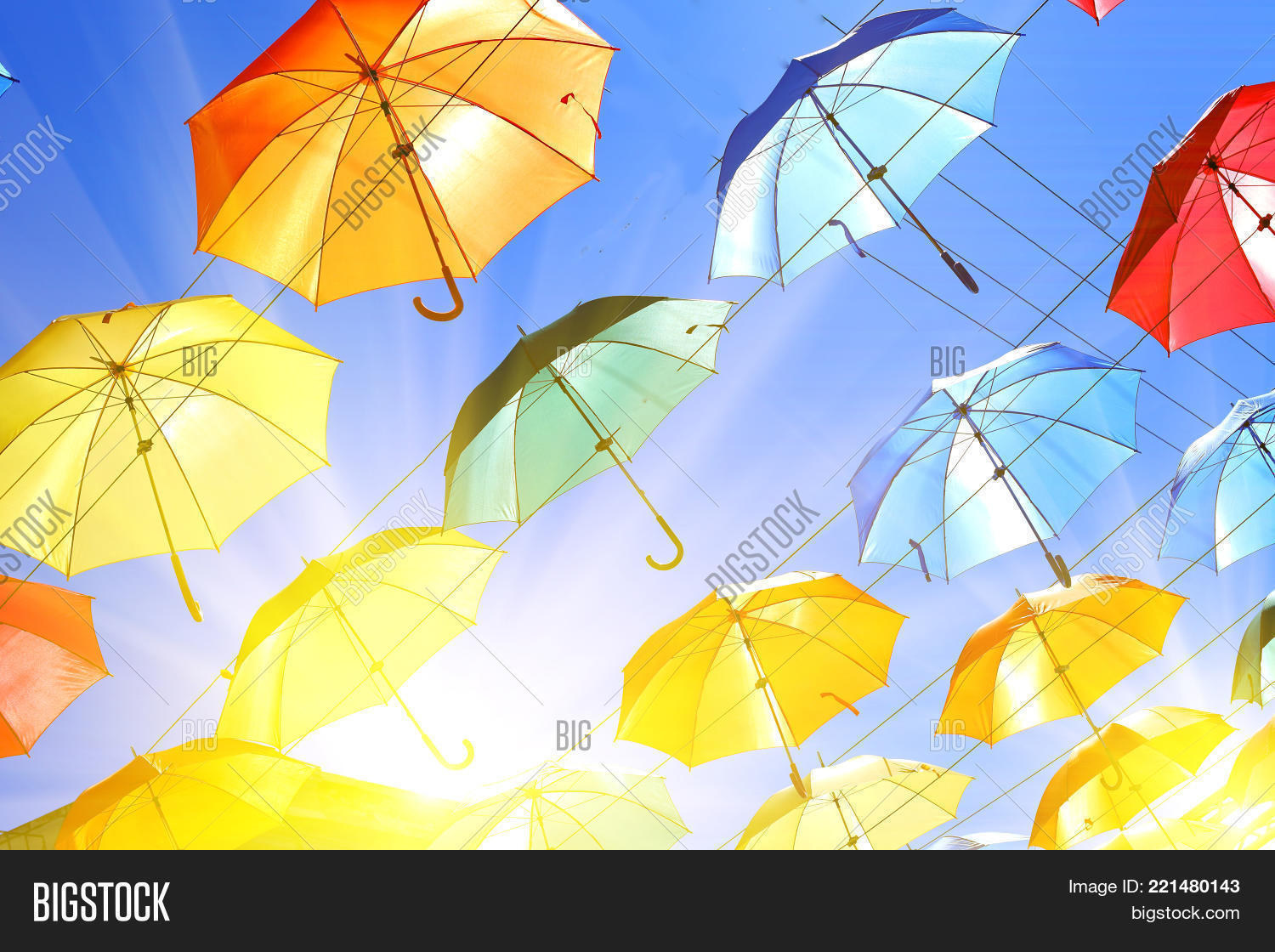 Image Preview