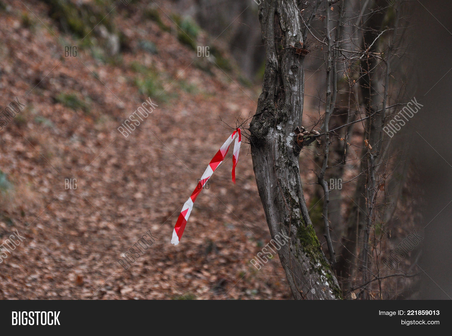 Hiking Trail Mark On Image & Photo (Free Trial) Bigstock