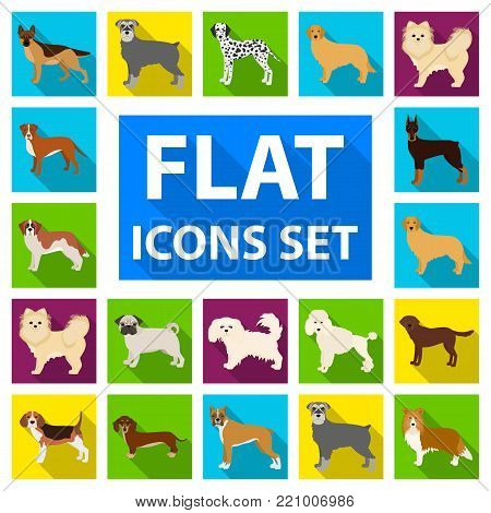 Dog breeds flat icons in set collection for design.Dog pet vector symbol stock  illustration.