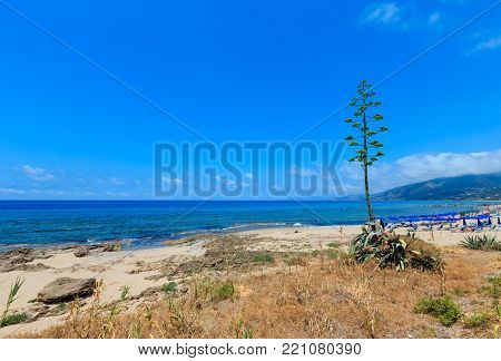 Beautiful Tyrrhenian sea coastline and beach landscape. Cilento and Vallo di Diano National Park, Salerno, Italy. People unrecognizuble.