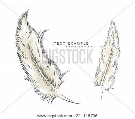 two writing old feather paint with text
