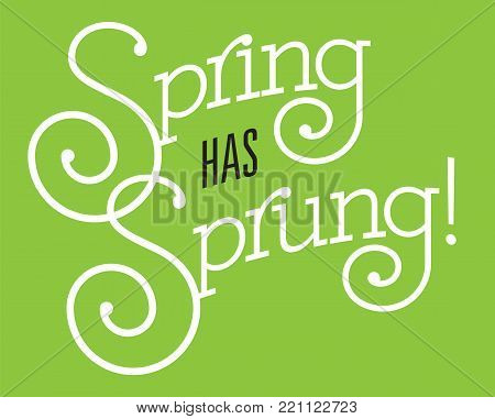 Spring Has Sprung Vector Design.
Fun custom drawn text with fancy swash letters and bold outline on green background.