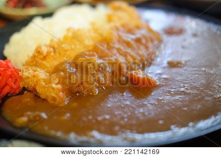 Close up of Katsudon pork cutlet on rice