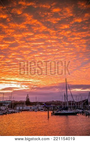 yachts and ships in marina at sunset, ahuriri, napier, new zealand