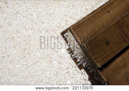 White rice karolina cereal food agricultural food