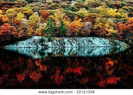 Hermosa caída de colores que se reflejan en el lago del bosque.