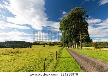 A Road Leads Into The Distance Near Farmland Outside Of Crieff In Scotland.