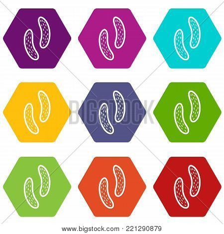 Epithelial cell icon set many color hexahedron isolated on white vector illustration