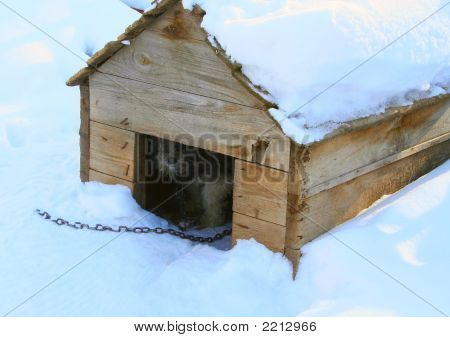 Koirat-Kennel