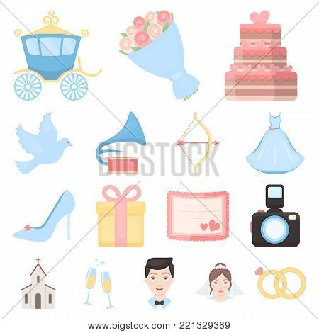 Wedding and Attributes cartoon icons in set collection for design.Newlyweds and Accessories vector symbol stock  illustration.