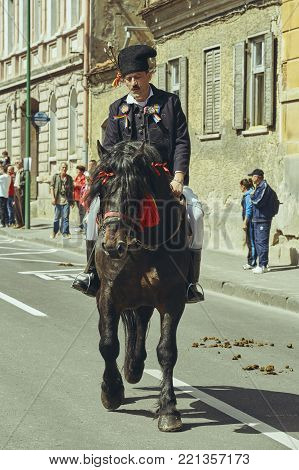 Brasov, Romania - April 27, 2014: Horseman rides thoroughbred stallion adorned with traditional decorations during the Youths of Brasov (Junii Brasovului) Parade.
