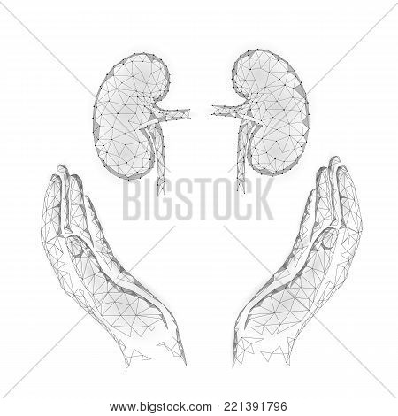 World Kidney Day greeting card low poly design template. Health awareness promotional poster human internal organ banney polygonal point line kidneys in hands care holding vector illustration art