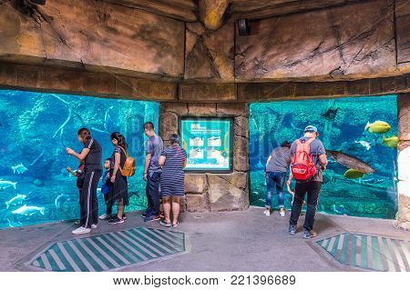 Zhuhai, Guangdong, China- Nov 9, 2017 : Ticket Of  The Zhuhai Chimelong Ocean Kingdom Park In Zhuhai