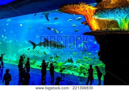 Zhuhai, Guangdong, China- Nov 9, 2017 : Ticket Of  The Zhuhai Chimelong Ocean Kingdom Park In Zhuhai