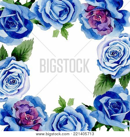 Wildflower blue rose flower frame in a watercolor style. Full name of the plant: rose, hulthemia, rosa. Aquarelle wild flower for background, texture, wrapper pattern, frame or border.