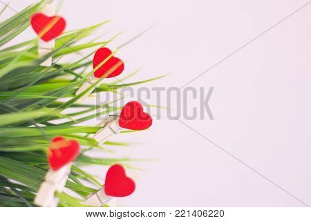 Valentine's Day, Wedding, Ecology, Save the Planet concept, wooden decorative pins with red hearts on a green plant , close up