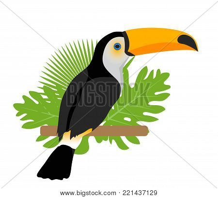 Toco toucan icon is a flat, cartoon style. Exotic bird sitting on a branch in the tropics. Isolated on white background. Vector illustration