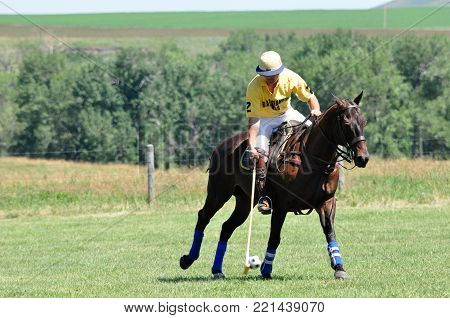 Polo at the Bar U Ranch, Longview, Alberta, July 24, 2011