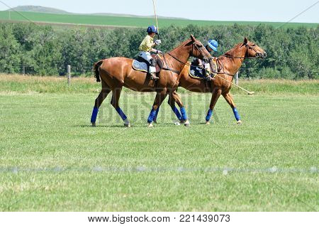 Polo at the Bar U Ranch, Longview, Alberta, July 24, 2011