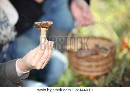 mano di funghi