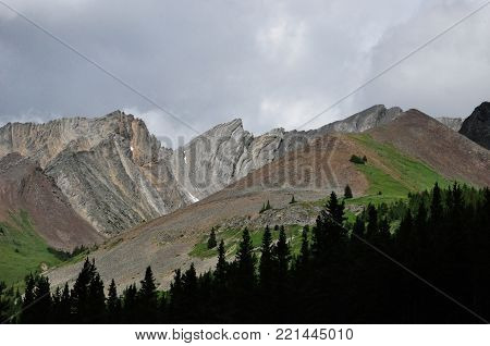 Treeline on a mountain with cloudy skies