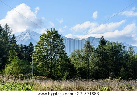 Mountain River In Summer. Bialka River, Poland