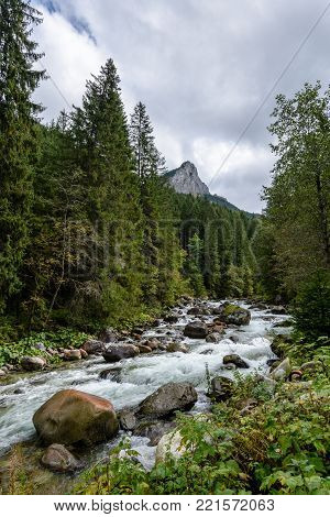 Mountain River In Summer. Bialka River, Poland