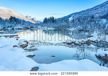 Reflection in the pond of Zelenci pond (river Sava spring)